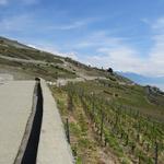 im Westen grenzt das Lavaux an das Weinbaugebiet La Côte, im Osten an das Weinbaugebiet Chablais