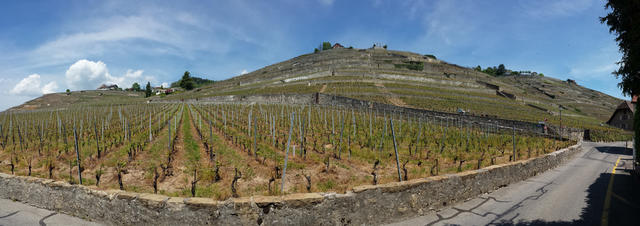 schönes Breitbildfoto vom Lavaux mit seinen Rebbergen