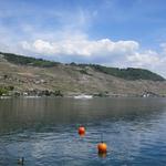 Blick von Cully aus, in das Lavaux Gebiet