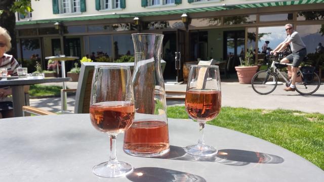 ... und geniessen einen guten Roséwein der Region