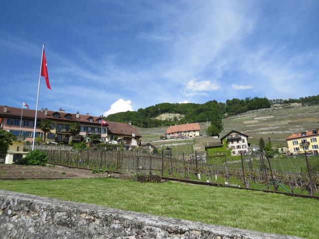 wir haben Epesses 459 m.ü.M.im Herzen des Lavaux erreicht