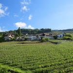 Blick hinauf nach Epesses