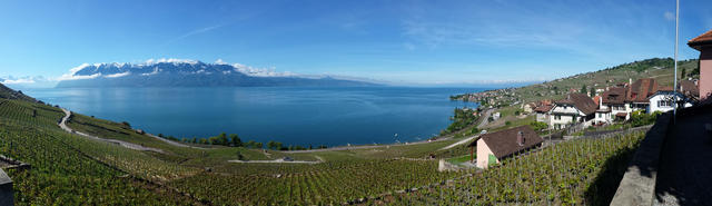 sehr schönes Breitbildfoto mit Blick auf den Genfersee und das Lavaux