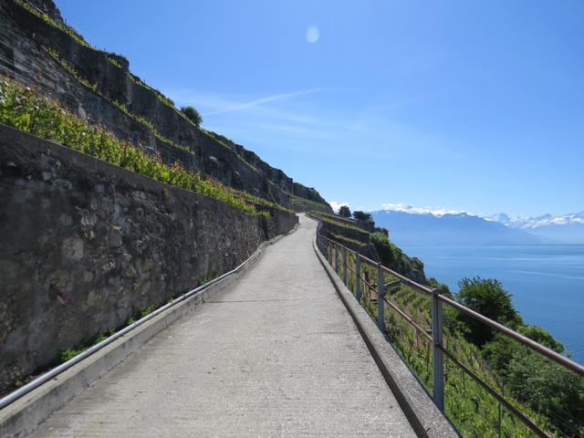 im Frühling oder im Herbst ist eine Wanderung durch das Lavaux am schönsten. Im Sommer zu heiss