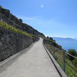 im Frühling oder im Herbst ist eine Wanderung durch das Lavaux am schönsten. Im Sommer zu heiss