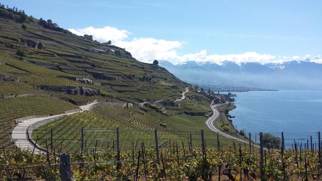 das Lavaux