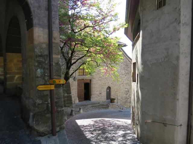 vorbei an der Kirche von St.Saphorin...