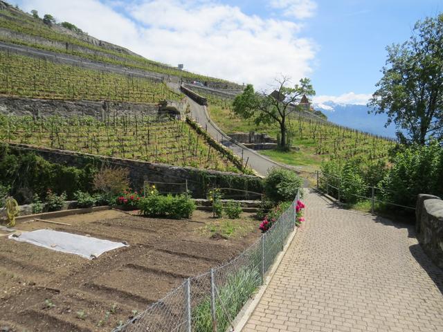 wir laufen nun unserem Tagesziel entgegen, und das ist Vevey