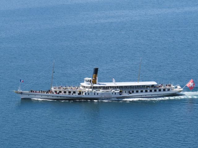 ein schönes Dampfschiff fährt an uns vorbei