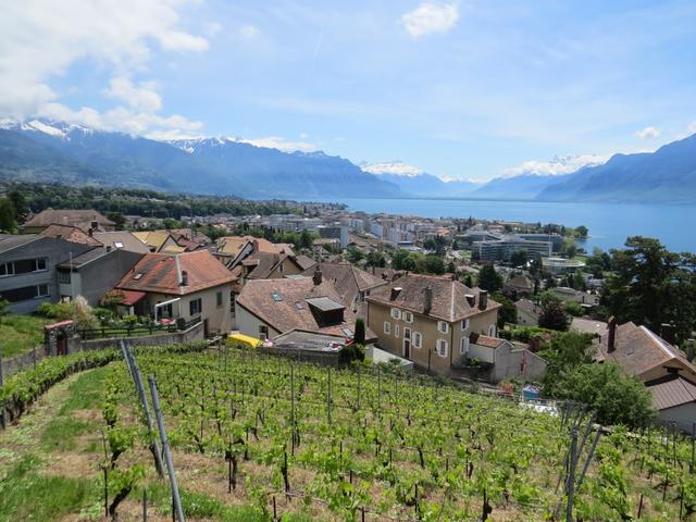 Blick auf Corseaux, kurz vor Vevey