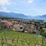 Blick auf Corseaux, kurz vor Vevey