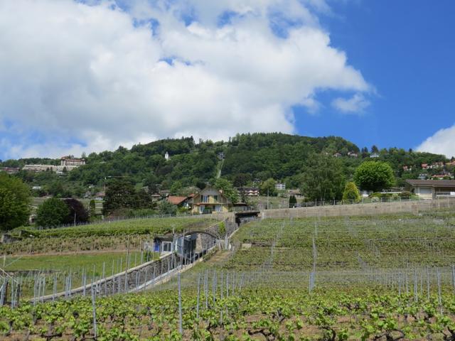 kurz nach Corseaux unterschreiten wir die Standseilbahn, die auf den Mont Pèlerin führt