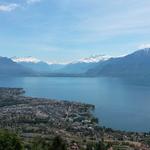 Blick auf Vevey und auf den Genfersee. Der Blick reicht bis ins Wallis