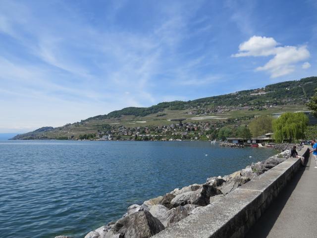 Blick zurück ins Lavaux