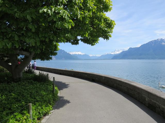 alles an der Seepromenade entlang, geht es Richtung Altstadt von Vevey