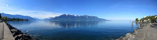 sehr schönes Breitbildfoto aufgenommen bei der Seepromenade von Vevey, mit Blick auf den Genfersee