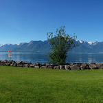 sehr schönes Breitbildfoto aufgenommen in der Parkanlage von Clarens 377 m.ü.M.