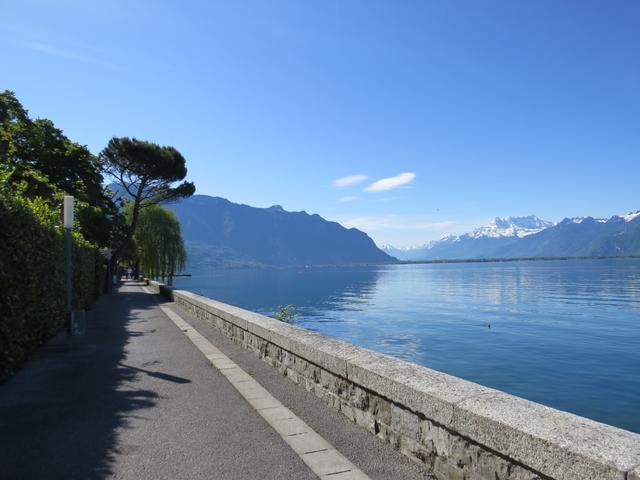 weiter geht es, alles dem Genfersee entlang, nun Richtung Montreux