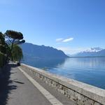 weiter geht es, alles dem Genfersee entlang, nun Richtung Montreux