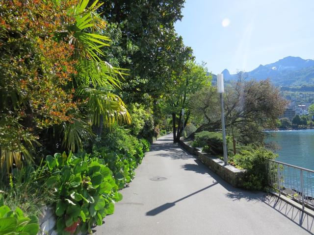 die Seepromenade von Montreux...