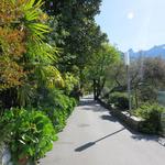 die Seepromenade von Montreux...