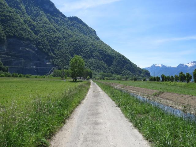 die Via Francigena zieht sich nun schnurgerade durch die Ebene