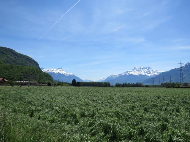 links am Horizont der Grand Muveran und der Dents de Morcles. Rechts der Dents du Midi