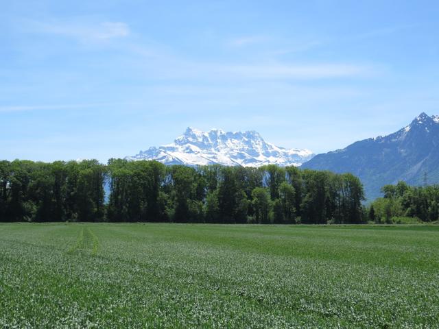 am Horizont unübersehbar der Dents du Midi