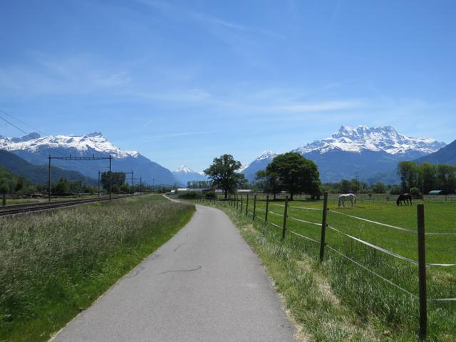 diese Teilstrecke ist ein bisschen eintönig, die Aussicht aber dafür um so schöner