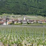 das schöne Winzerdorf Yvorne. Haupt-Rebsorte ist hier die Chasselas Traube