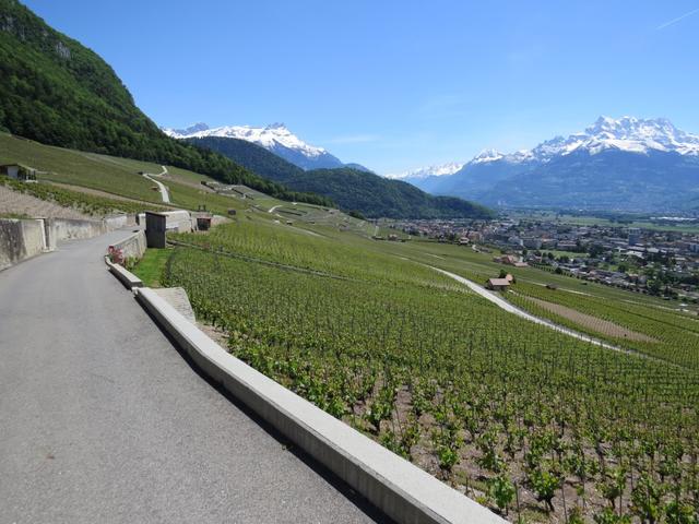 Blick von Vers-Morey 521 m.ü.M. zum Tagesziel der heutigen Etappe, nach Aigle