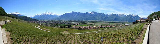 sehr schönes Breitbildfoto mit Blick in das Rhônetal