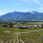 sehr schönes Breitbildfoto mit Blick in das Rhônetal