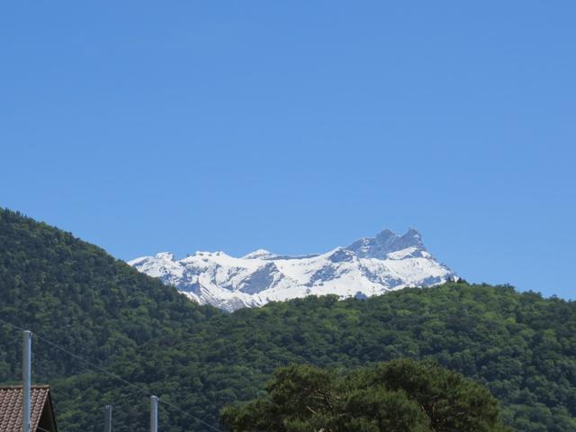 Blick hinauf zum Grand Muveran und der Dents de Morcles. War das für eine Traumhafte Bergwanderung