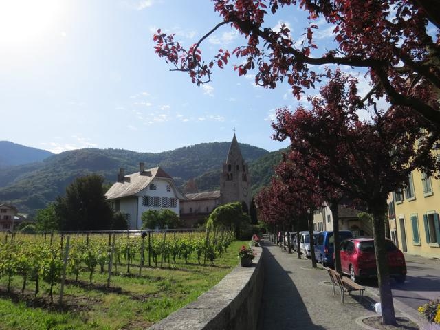 Aigle liegt im schönen Waadtländer Weinbaugebiet Chablais