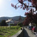 Aigle liegt im schönen Waadtländer Weinbaugebiet Chablais