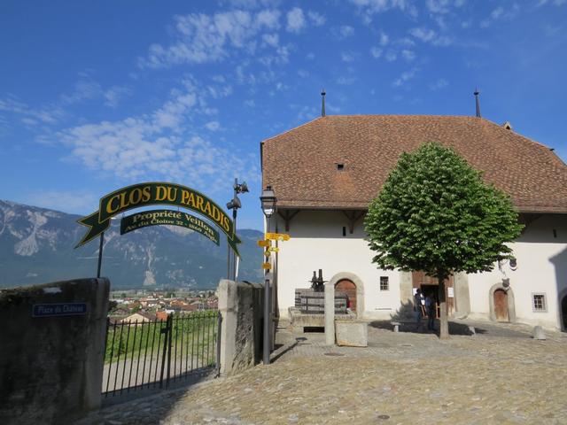 vor dem Eingang in die ummauerte Anlage sehen wir den Weinberg mit dem klingenden Namen "Clos du Paradis"