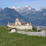 ein letzter Blick zurück zum Château d'Aigle