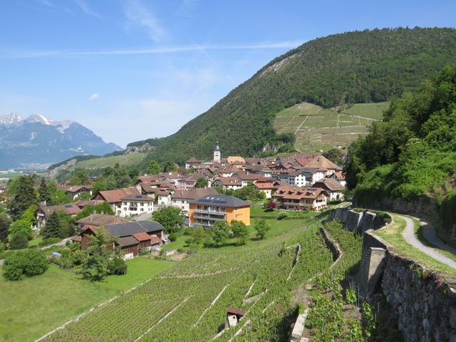 letzter Blick zurück nach Ollon