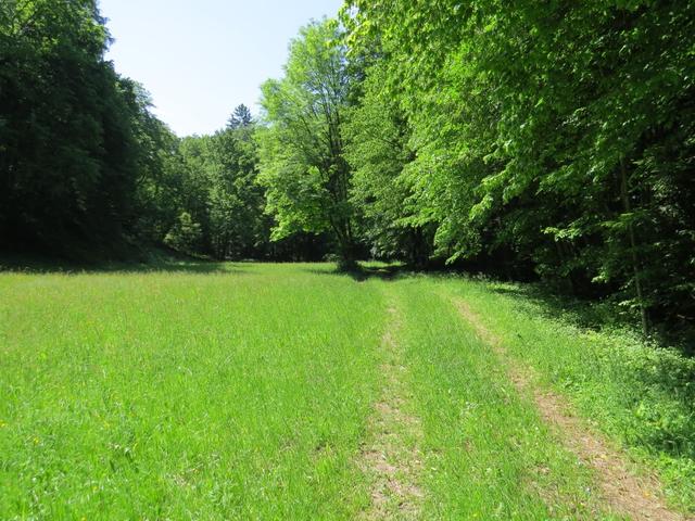 über einen kleinen Umweg erreichen wir danach wieder die Via Francigena. Die Markierung ist stellenweise nicht so gut