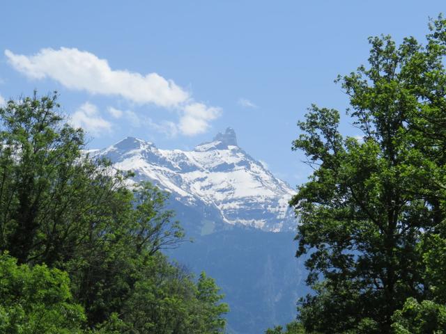 Blick hinauf zum Dents de Morcles