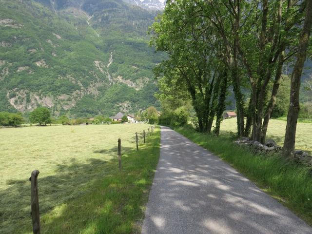 über einen Wald- und Wiesenweg geht es nun unserem Tagesziel entgegen: Evionnaz