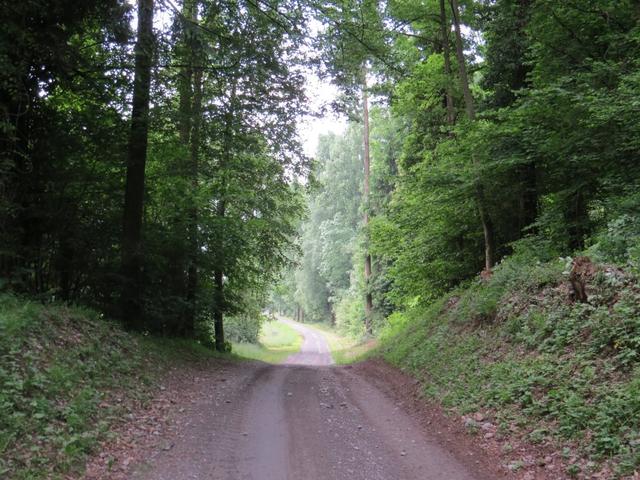 kurz nach Evionnaz, tauchen wir in einen Wald hinein, und werden wie immer, von einem Vogelkonzert empfangen