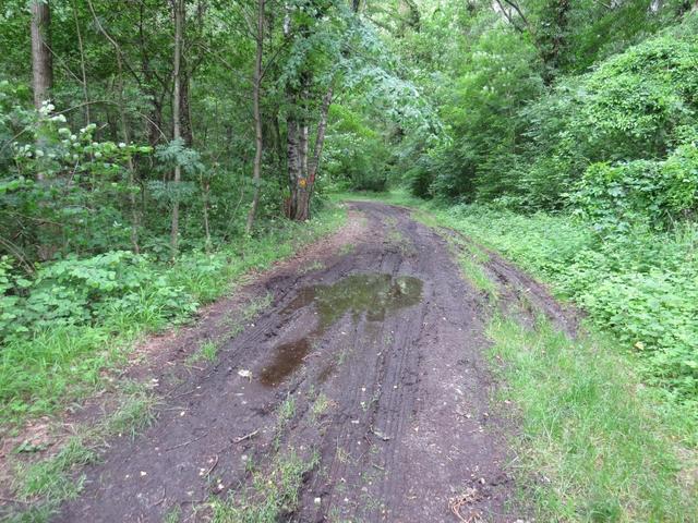 solche Schlammlöcher hatten wir auf dem Jakobsweg in Frankreich fast täglich