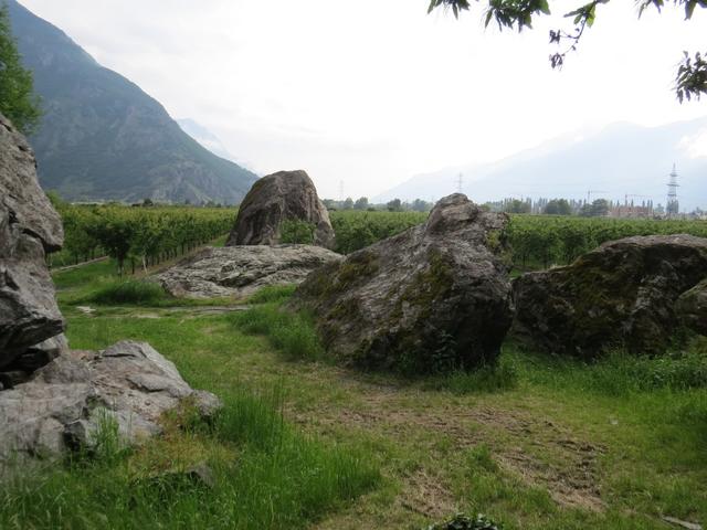 bei Chez les Lugon umgeht die Via Francigena riesige Felsblöcke, die irgendeinmal zu Tale donnerten