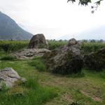 bei Chez les Lugon umgeht die Via Francigena riesige Felsblöcke, die irgendeinmal zu Tale donnerten