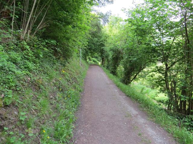 der schöne Waldweg führt nun alles dem Bergbach La Drance entlang