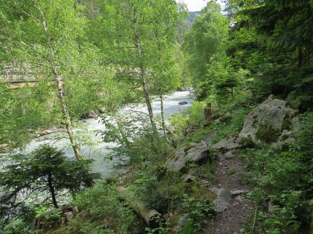 das recht enge Tal teilen wir uns mit dem Fluss, der Strasse und der Bahn