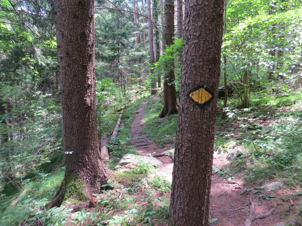 der Weg ist immer gut ersichtlich