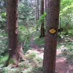 der Weg ist immer gut ersichtlich